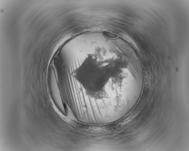 X0000058781095200510211742