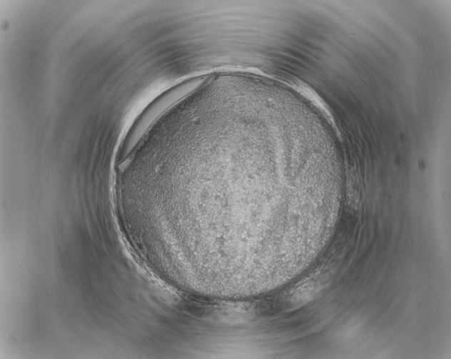 X0000058781096200510211742