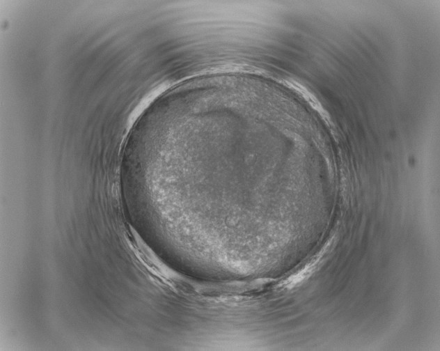 X0000058781097200510211742