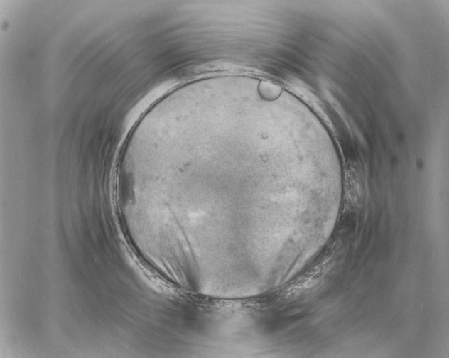 X0000058781098200510211742