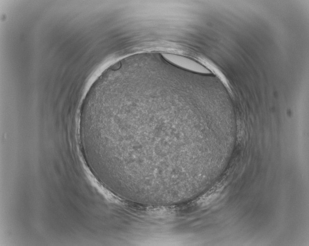 X0000058781099200510211742