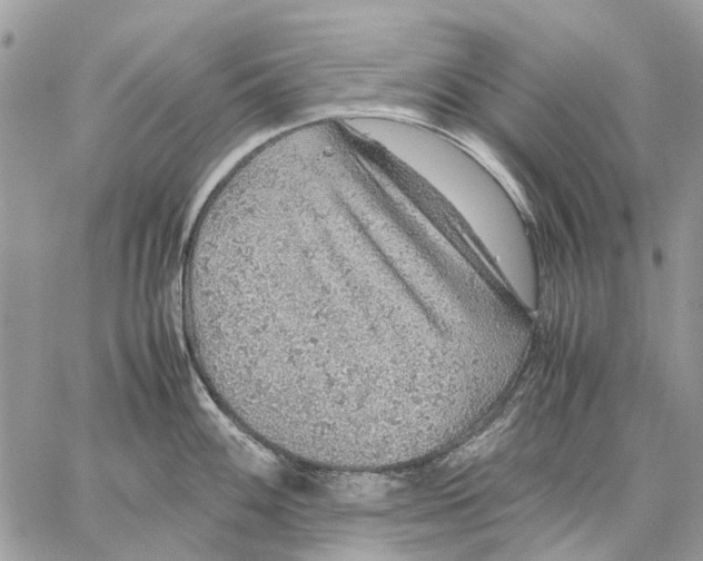 X0000058781100200510211742