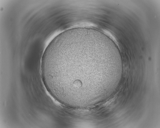 X0000058781103200510211742