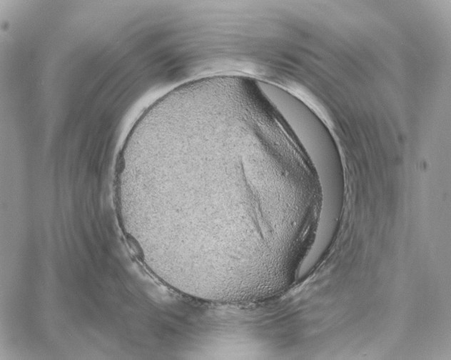 X0000058781104200510211742