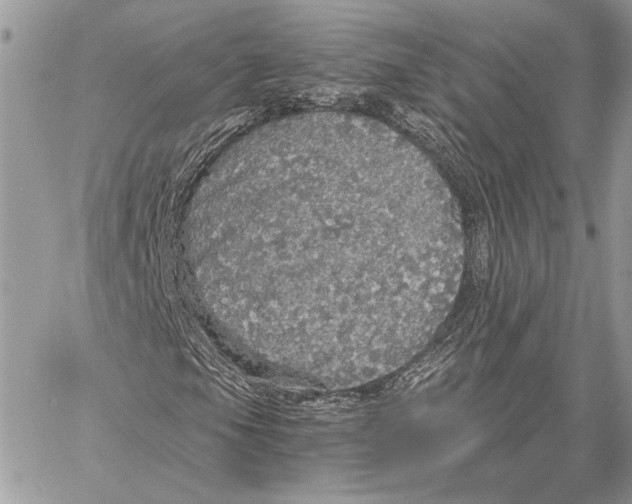 X0000058781105200510211741