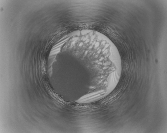 X0000058781106200510211741