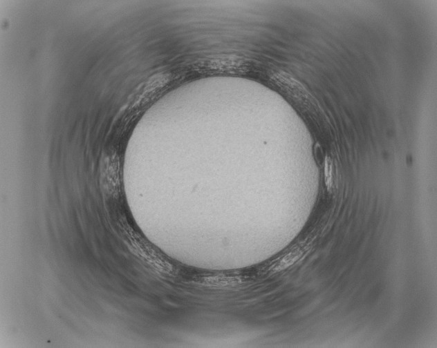 X0000058781107200510211741