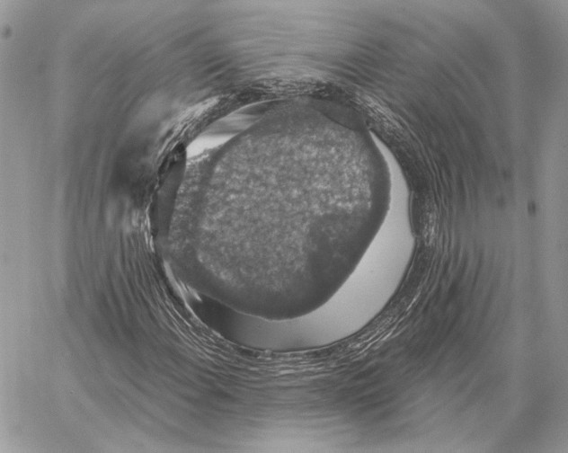 X0000058781108200510211741