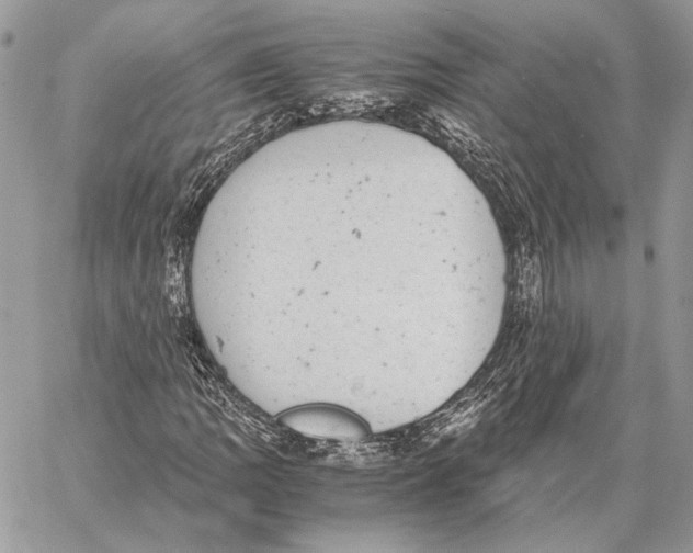 X0000058781109200510211741