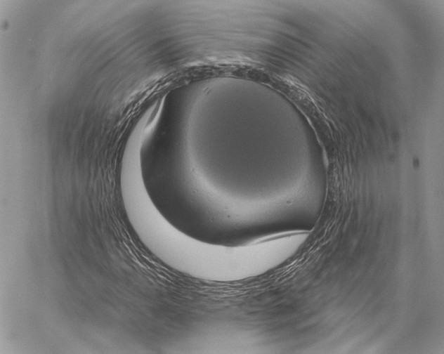 X0000058781110200510211741