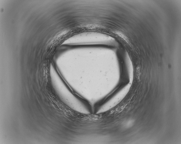 X0000058781111200510211741