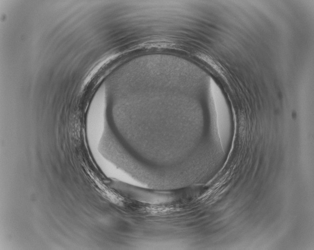 X0000058781115200510211741