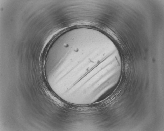 X0000058781116200510211741