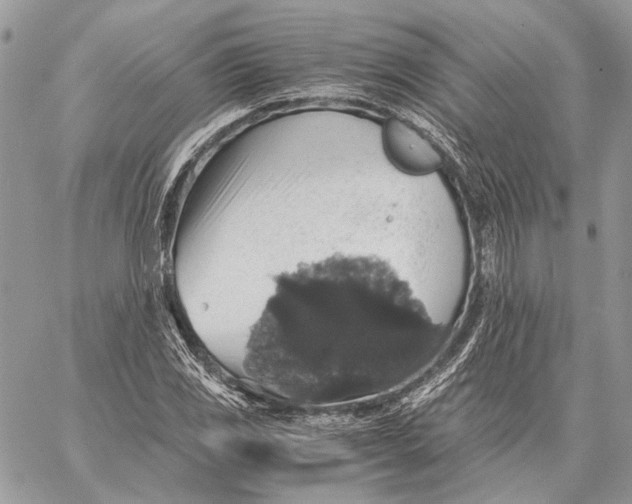 X0000058781117200510211741