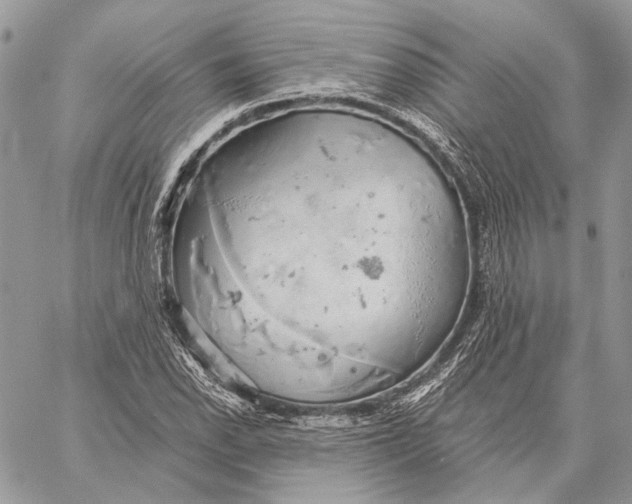 X0000058781118200510211741