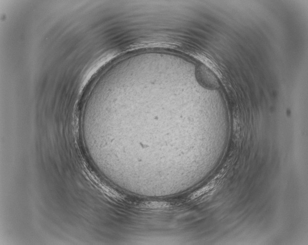 X0000058781119200510211741