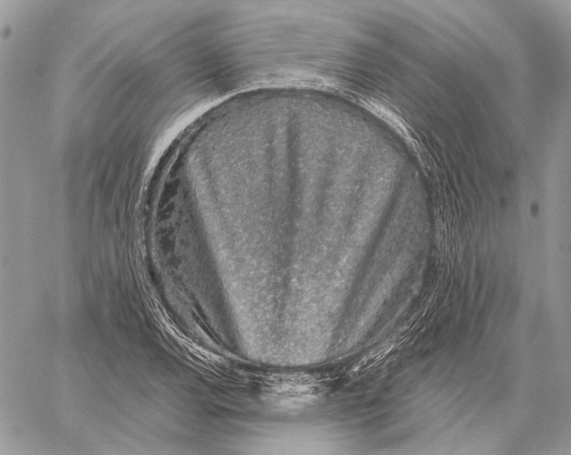 X0000058781120200510211741