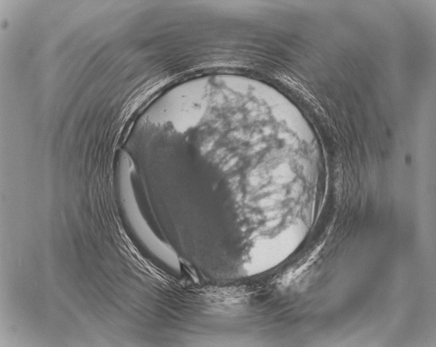 X0000058781121200510211741