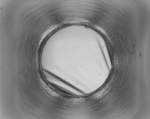 X0000058781122200510211741