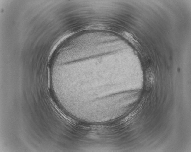 X0000058781123200510211741