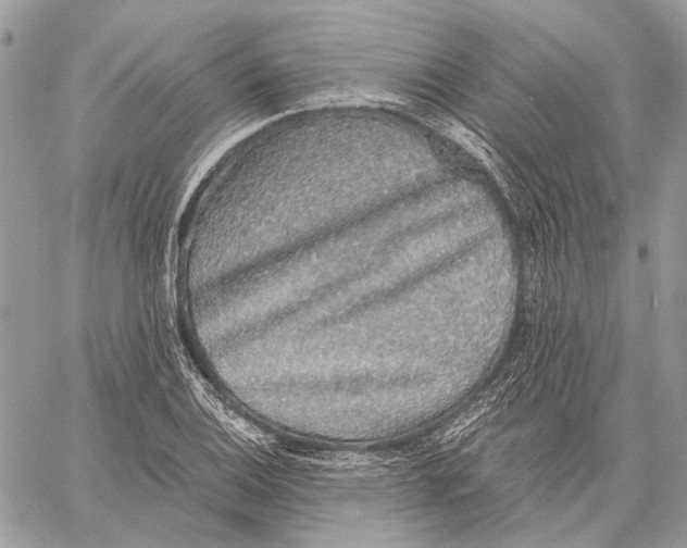 X0000058781124200510211741