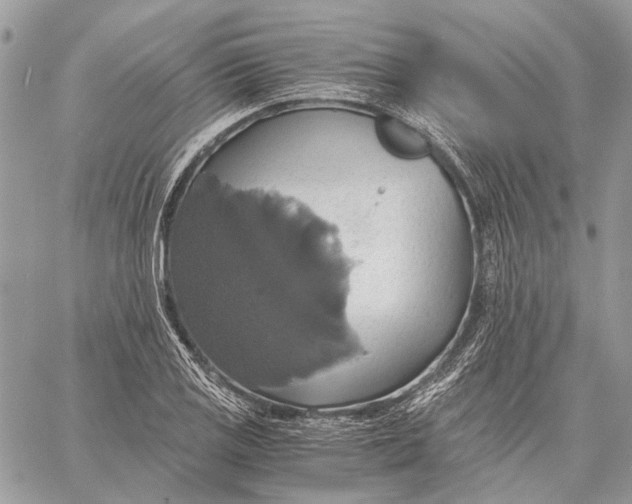 X0000058781125200510211741