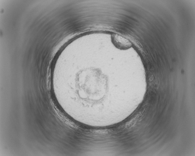 X0000058781126200510211741