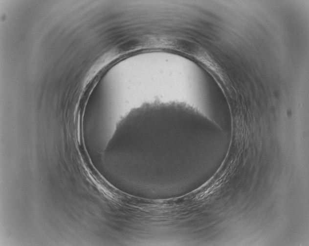 X0000058781127200510211741