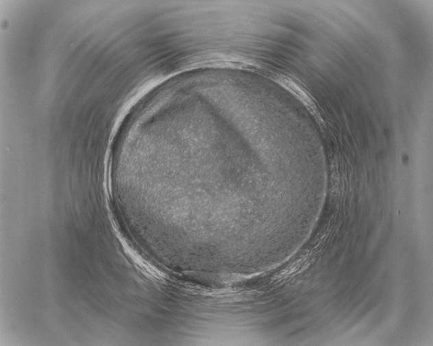 X0000058781128200510211741