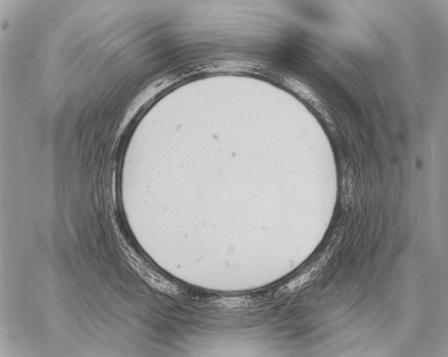 X0000058781130200510211741