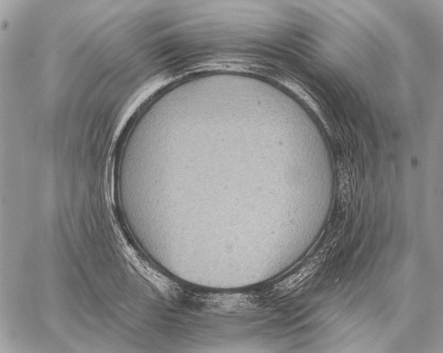 X0000058781131200510211741