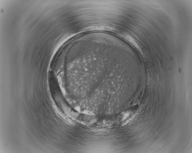 X0000058781132200510211741