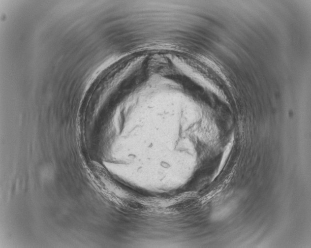 X0000058781133200510211741