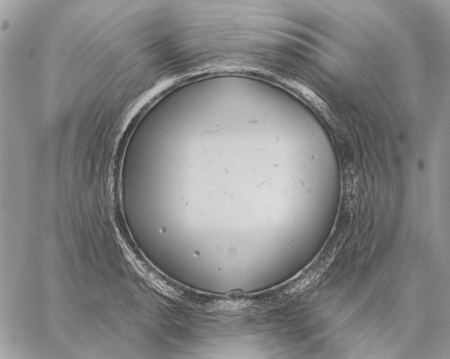 X0000058781134200510211741