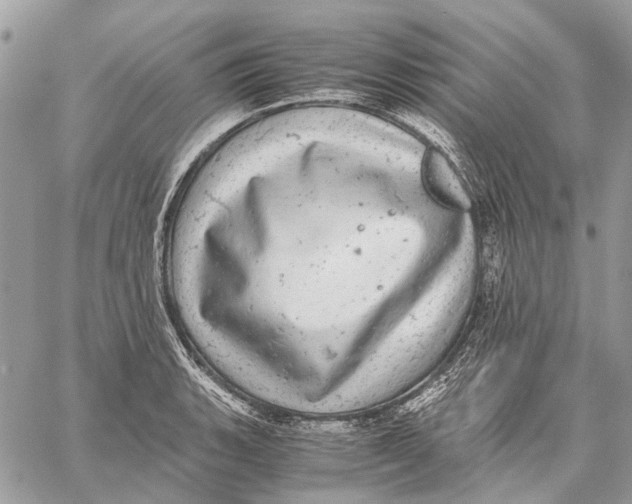 X0000058781135200510211741