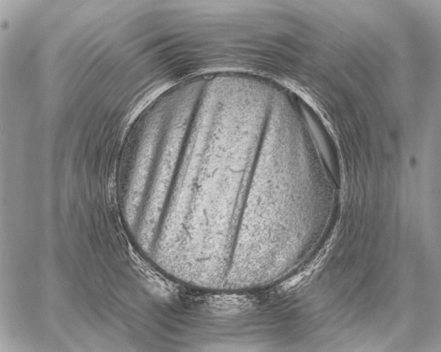 X0000058781137200510211741