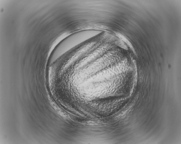 X0000058781138200510211741