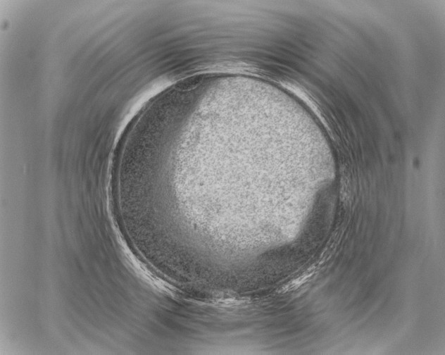 X0000058781139200510211741