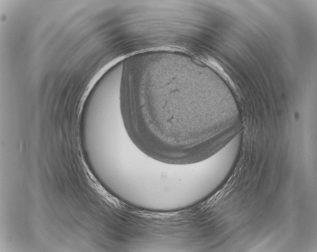 X0000058781140200510211741