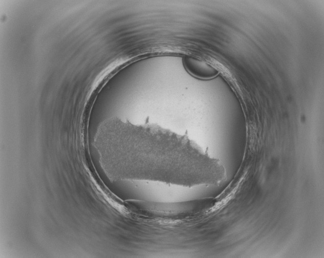 X0000058781141200510211741