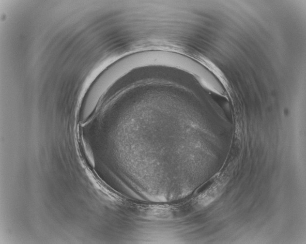 X0000058781144200510211741