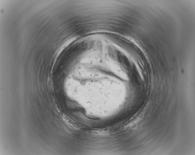 X0000058781145200510211741