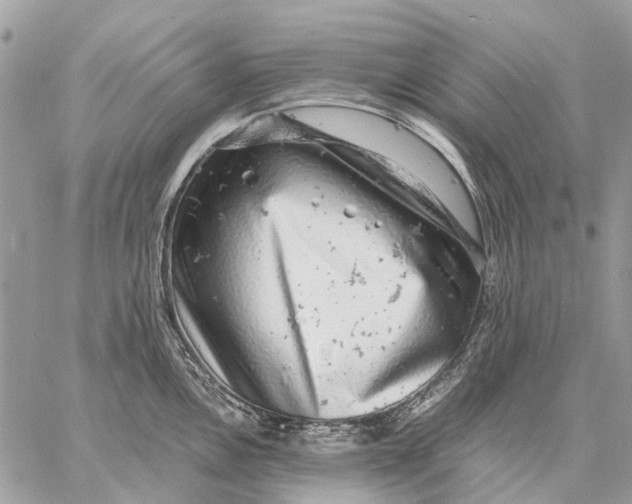 X0000058781146200510211741