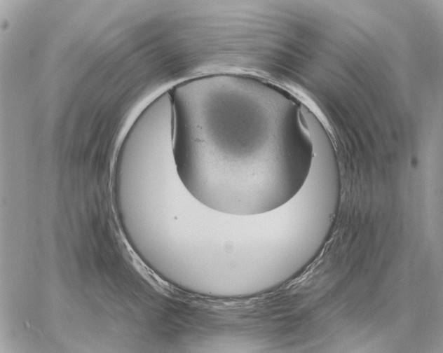 X0000058781148200510211741