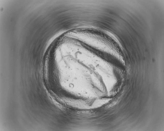 X0000058781149200510211741