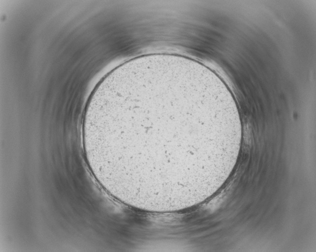 X0000058781150200510211742