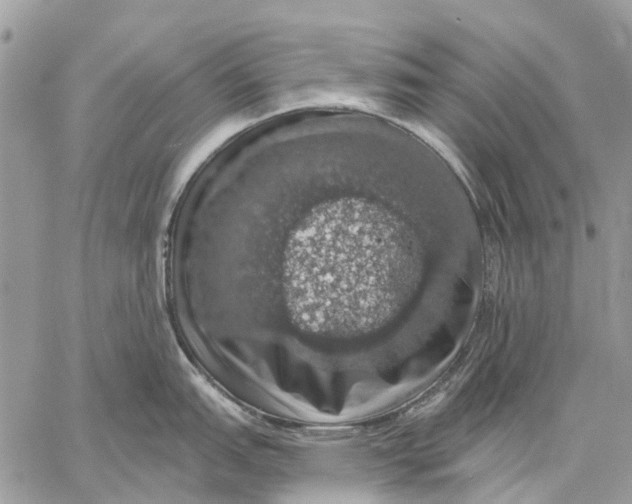 X0000058781151200510211742