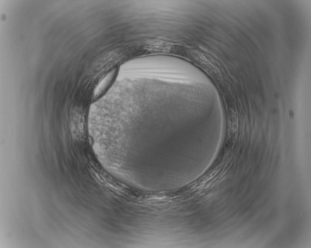 X0000058781154200510211741