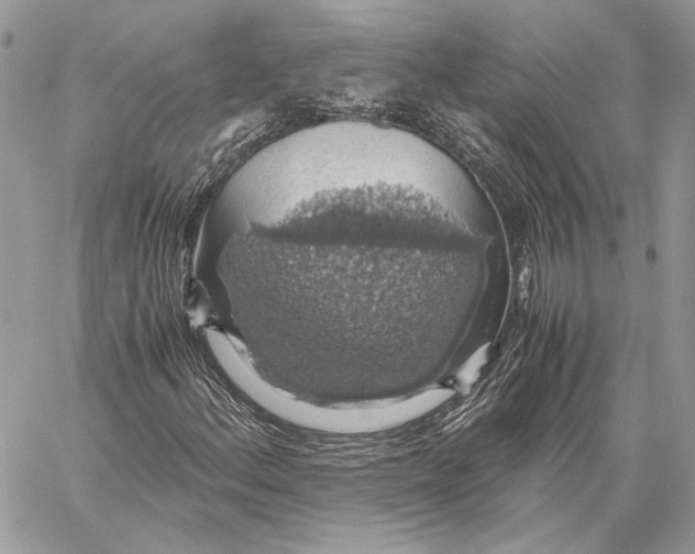 X0000058781156200510211741