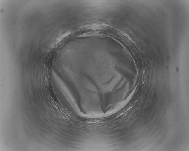 X0000058781158200510211741